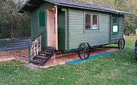 Cabin Dan